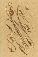 Ковер OPAL DANAE sahara