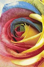 Шерстяной ковер красный Hunnu R 6A1857 175 Роза